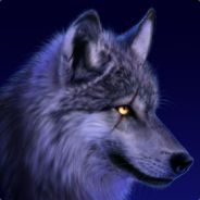 Stormwolf359 - steam id 76561197971022739