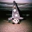 Opossum Wizard