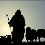 sensej Wuu skins.army