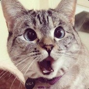 炸弹人你这个狗逼