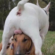 给女大涂身体乳