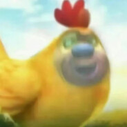 纯情呆呆鸡