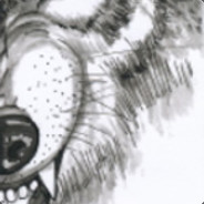 Wolf avatar