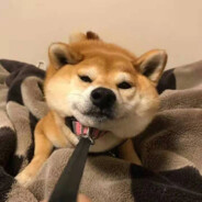 翻斗花园狙击手牛爷爷