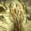 Hastur