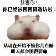 段小老帝