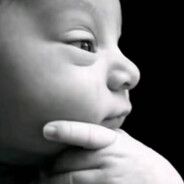 精神抖擞的白眼果蝇