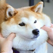 3232