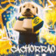 CachorraoXD