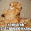 MC_КОТЯНСКИЙ