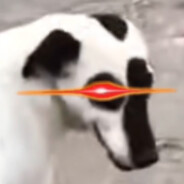 你转过来吓我一跳