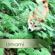 Umamanami