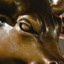 Bronze bull