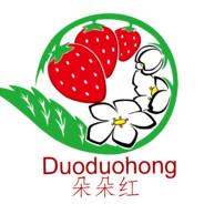 朵朵红精品草莓园本园