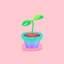 Houseplant