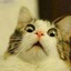 allmuted.fckngmeee