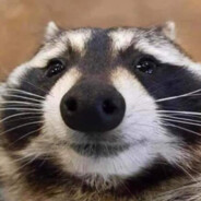 RaccoonsGrace