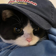 猪饲料批发供应商