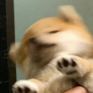 香香(激情突突版）