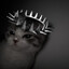 кошка мурка's avatar