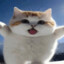 waerdawecsefdfggdhgfxbcvbxcv :D