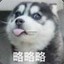 知名胸口碎大石表演家
