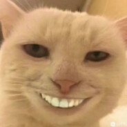 快去抱抱大胖橘