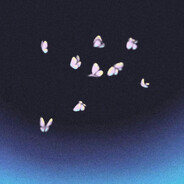 看见一只蝴蝶飞过废墟