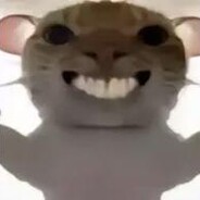 高考状元马嘉祺