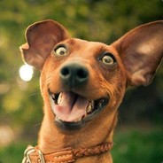 喜欢海也喜欢浪。