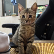 破坏球让妈妈糕潮吧