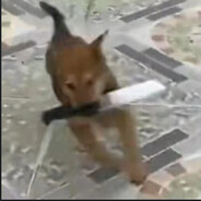 偷南梁内裤被罚一百