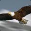 EAGLE...