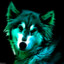 Wolfy_is_Awesome