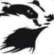 Badger - steam id 76561197970989120