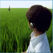 Dimwit - steam id 76561198871150171