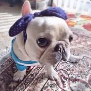 别把情话说太美