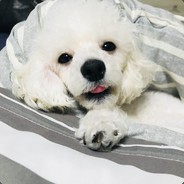 영우