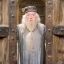 Professor Albus Dumbledore