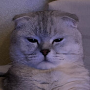 m4kys - steam id 76561199046966884