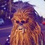 Mr.Chewbacca