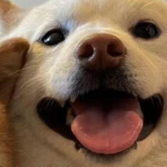 你是眼眸中的光