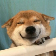 小楼昨夜吹西风