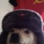 SALTY COMMIE DOGO