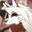 Loona avatar