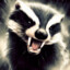 Angry_Badger