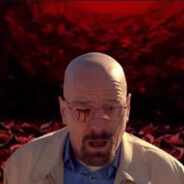 Frank Steam avatar