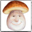 Shmunguss Shmungi
