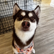 ★C.Z★ - steam id 76561198169930922