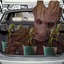 Groot In The Boot